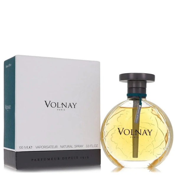 Brume D'hiver by Volnay for Women. Eau DE Parfum Spray (Unisex) 3.4 oz | Perfumepur.com