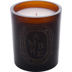 Diptyque Ambre By Diptyque for Unisex. Scented Candle 10 oz | Perfumepur.com