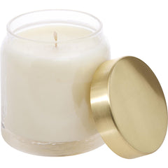 Sea Salt & Kelp By Northern Lights for Unisex. Scented Soy Glass Candle 10 oz | Perfumepur.com